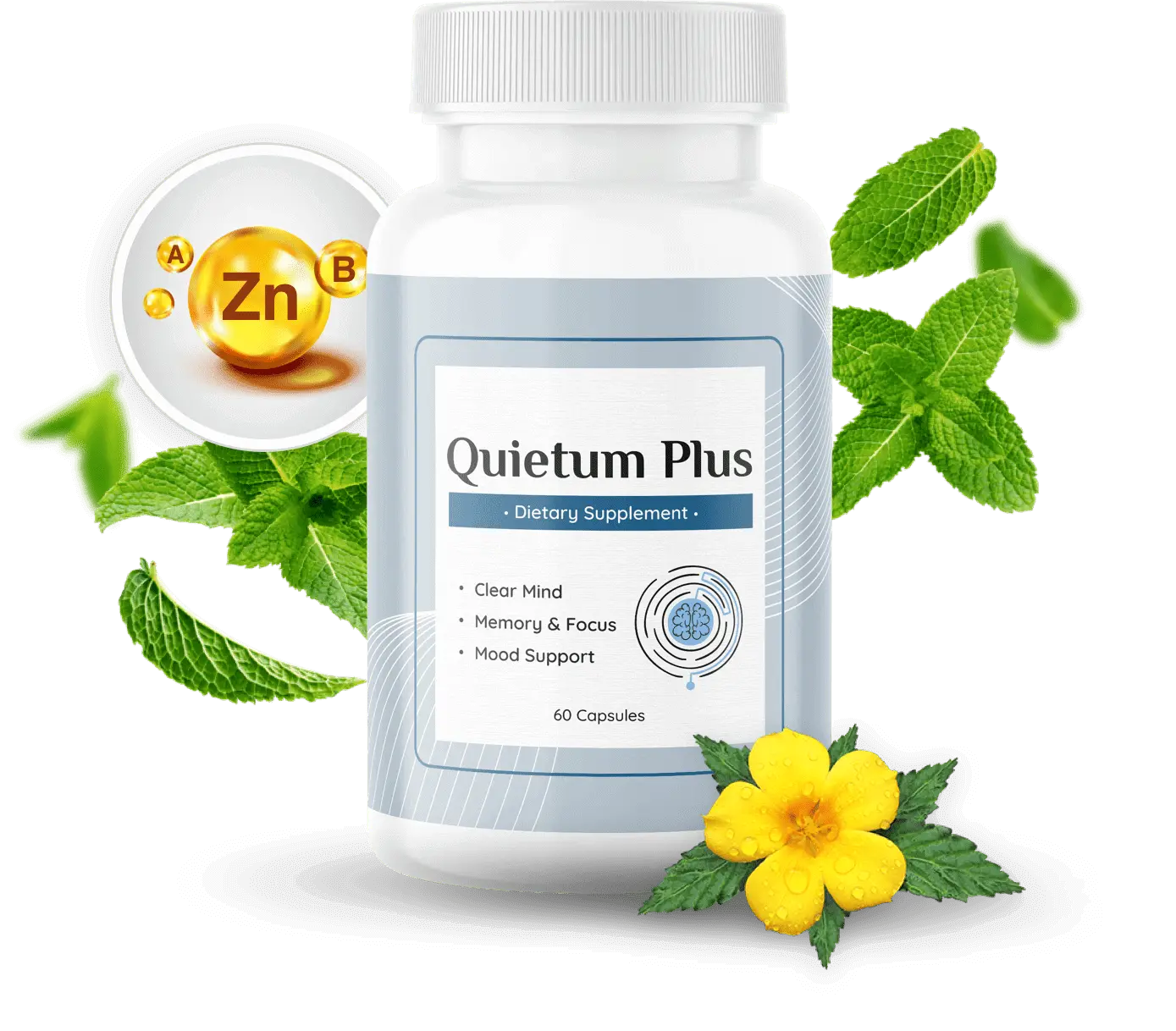 Quietum Plus - Supplements
